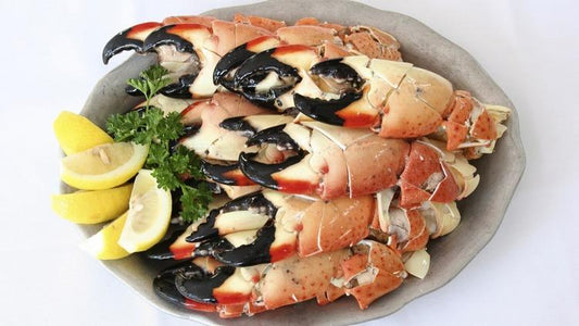 Medium Stone Crabs